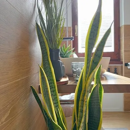 아파트 Dom Luxury